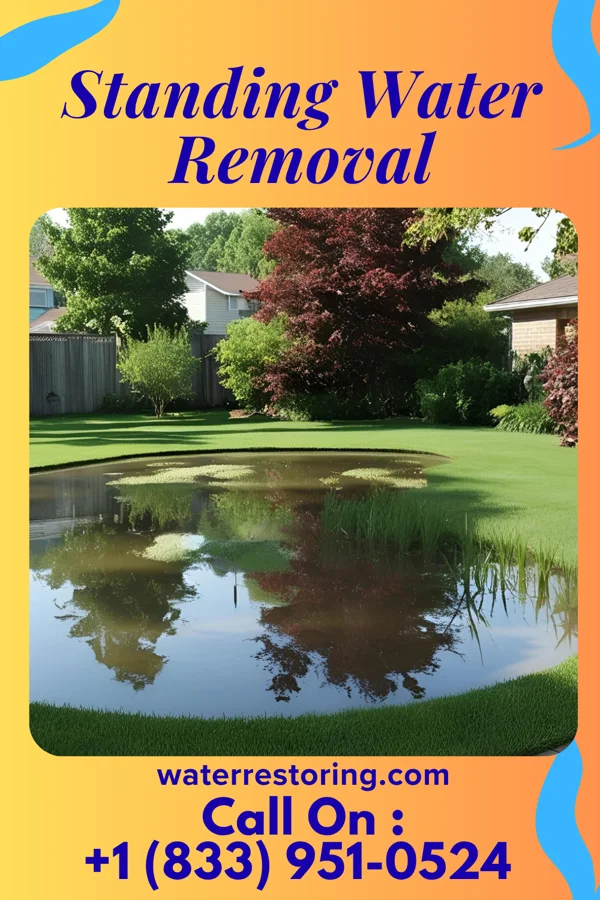 Standing Water Removal in Sarben, NE